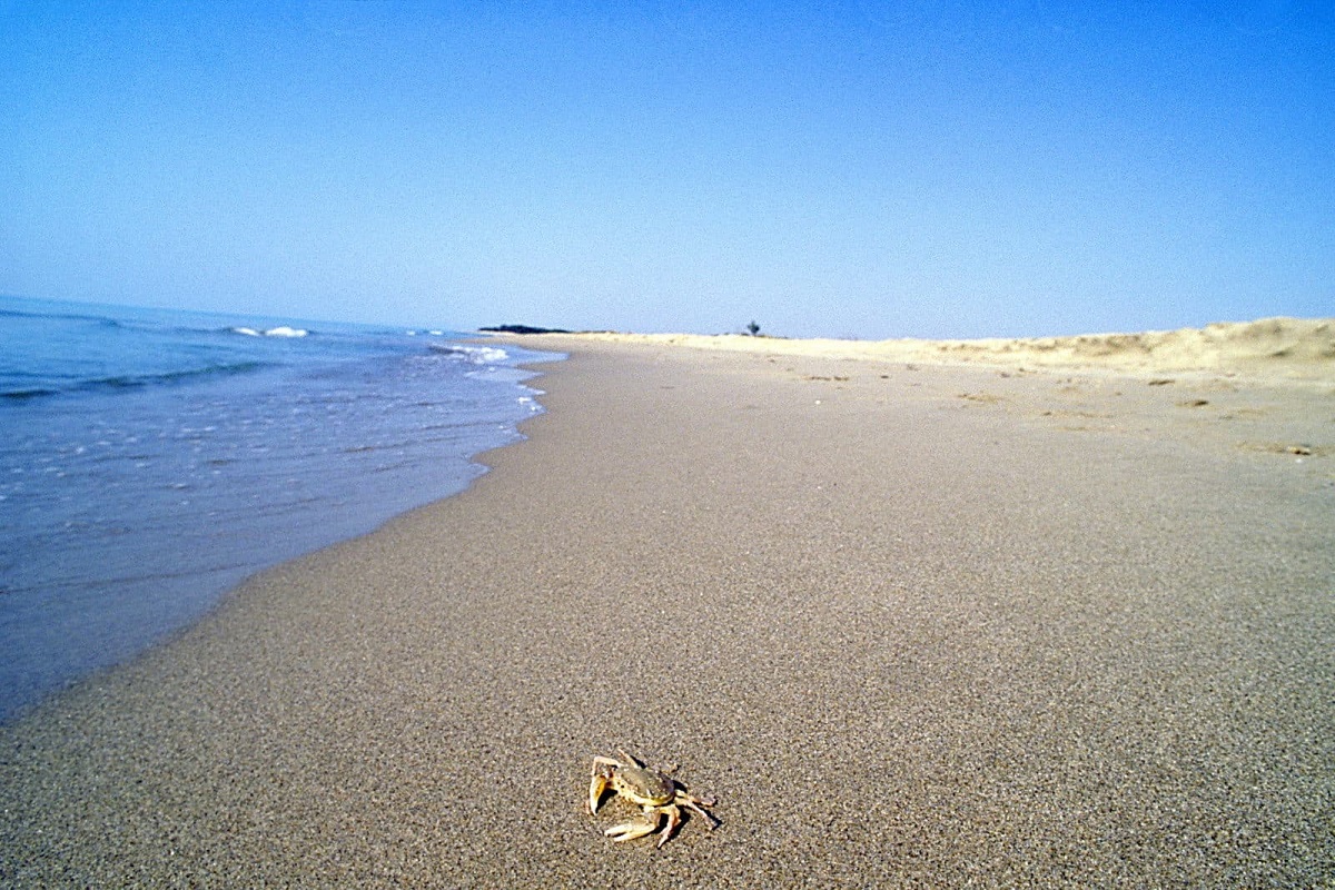 spiaggia di metaponto